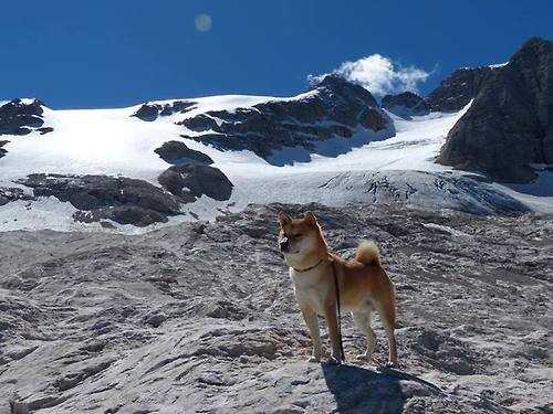 骑士击穿东方堡垒的同一夜,德罗赞于另一重时空焚毁王座
