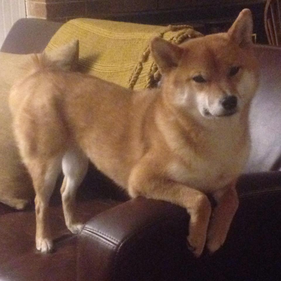 方向盘与转身后仰，我们为何迷恋关键时刻的绝对掌控？