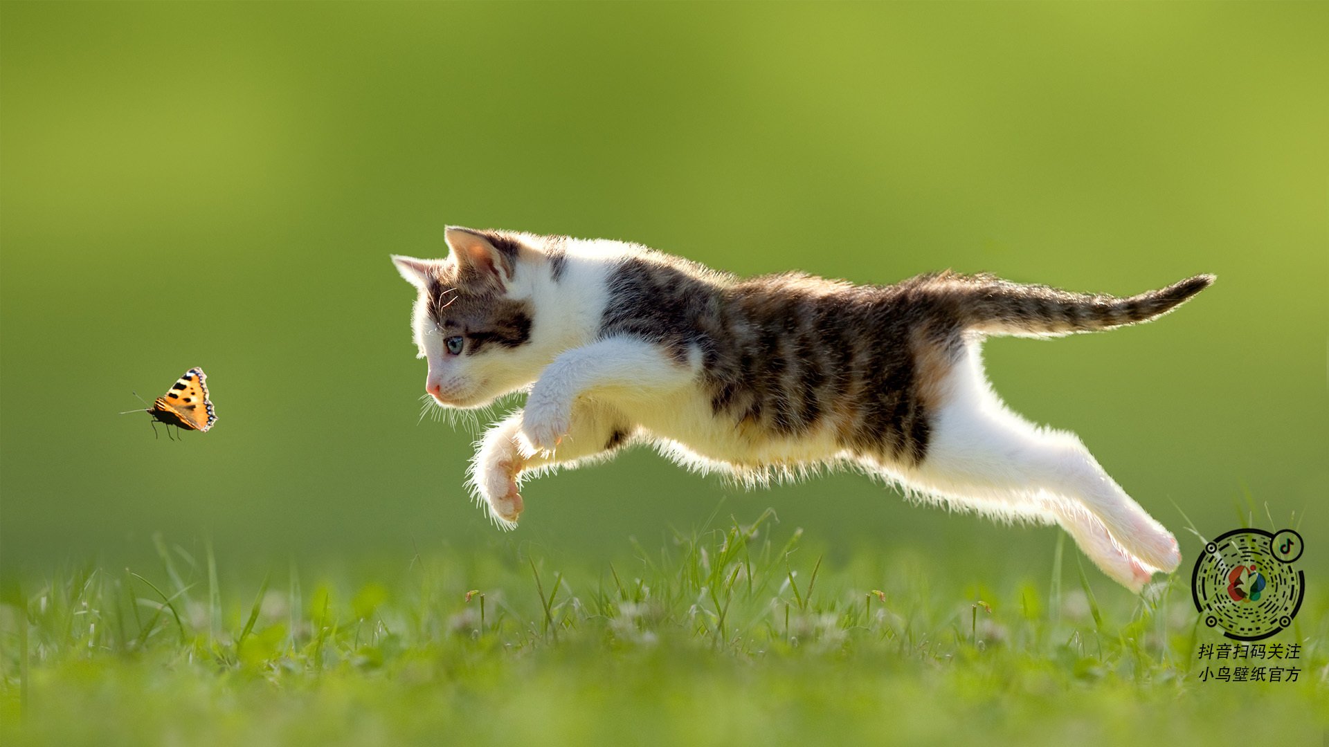 开云sport-冰与火之歌，吉林队防守锁死篮网，武切维奇成关键先生