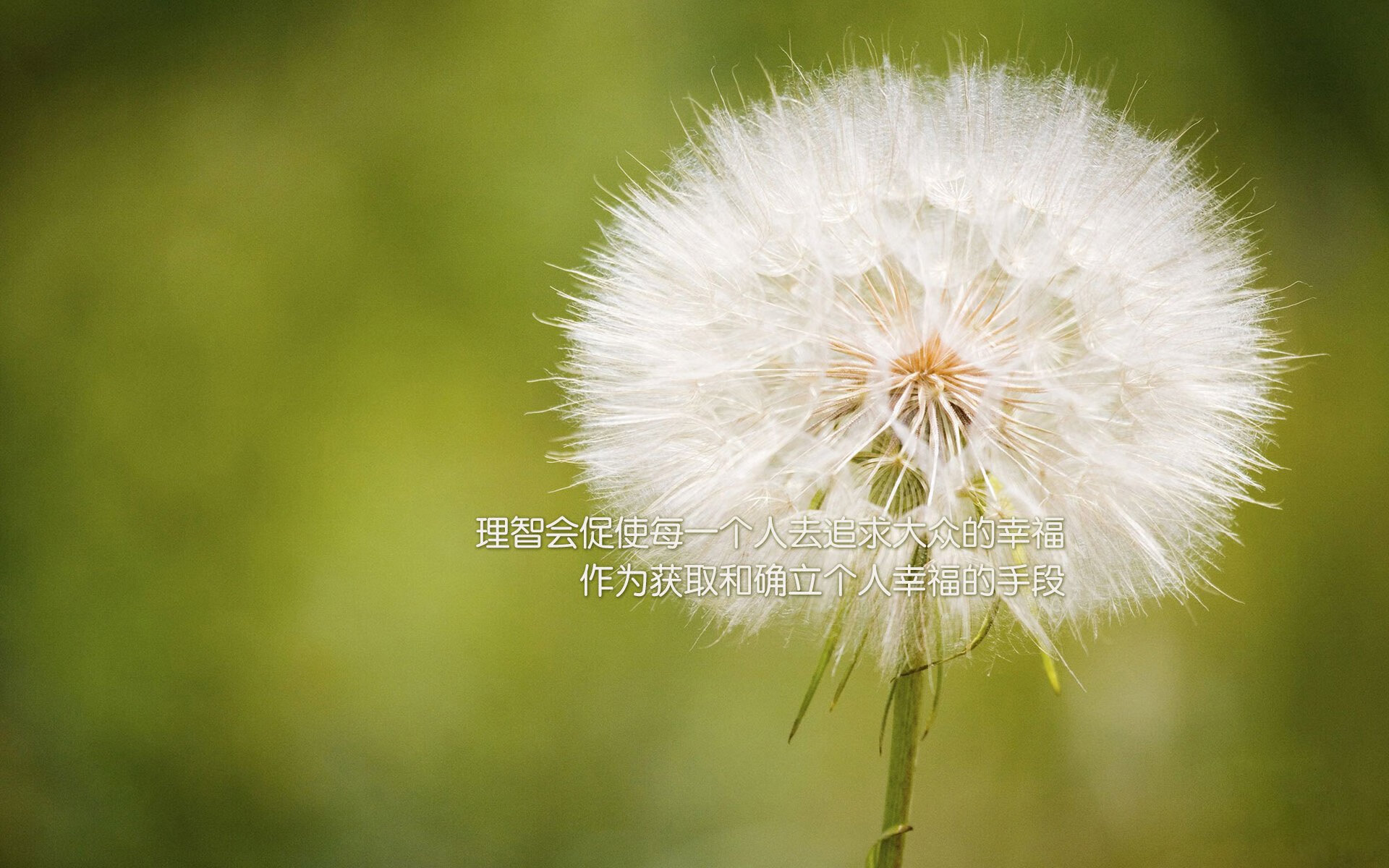 赛道与球场,跨界统治的艺术