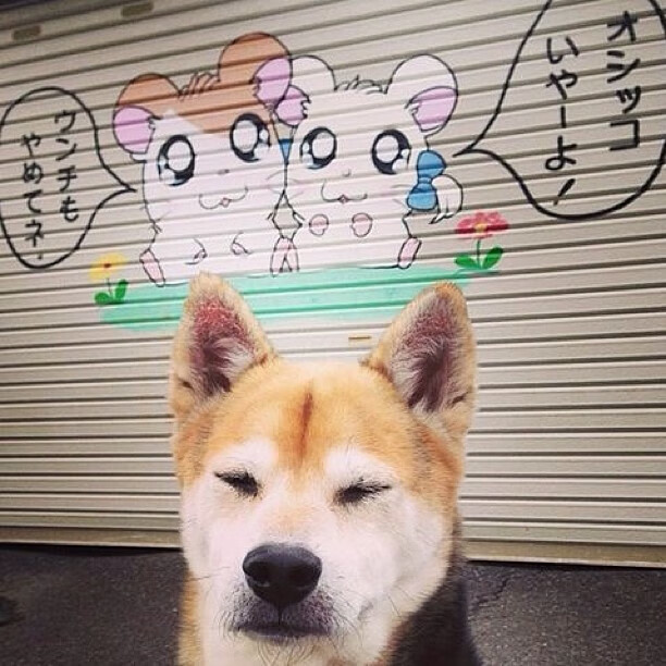 哨响之前，当NBA的窒息感遇上足球的战术深渊