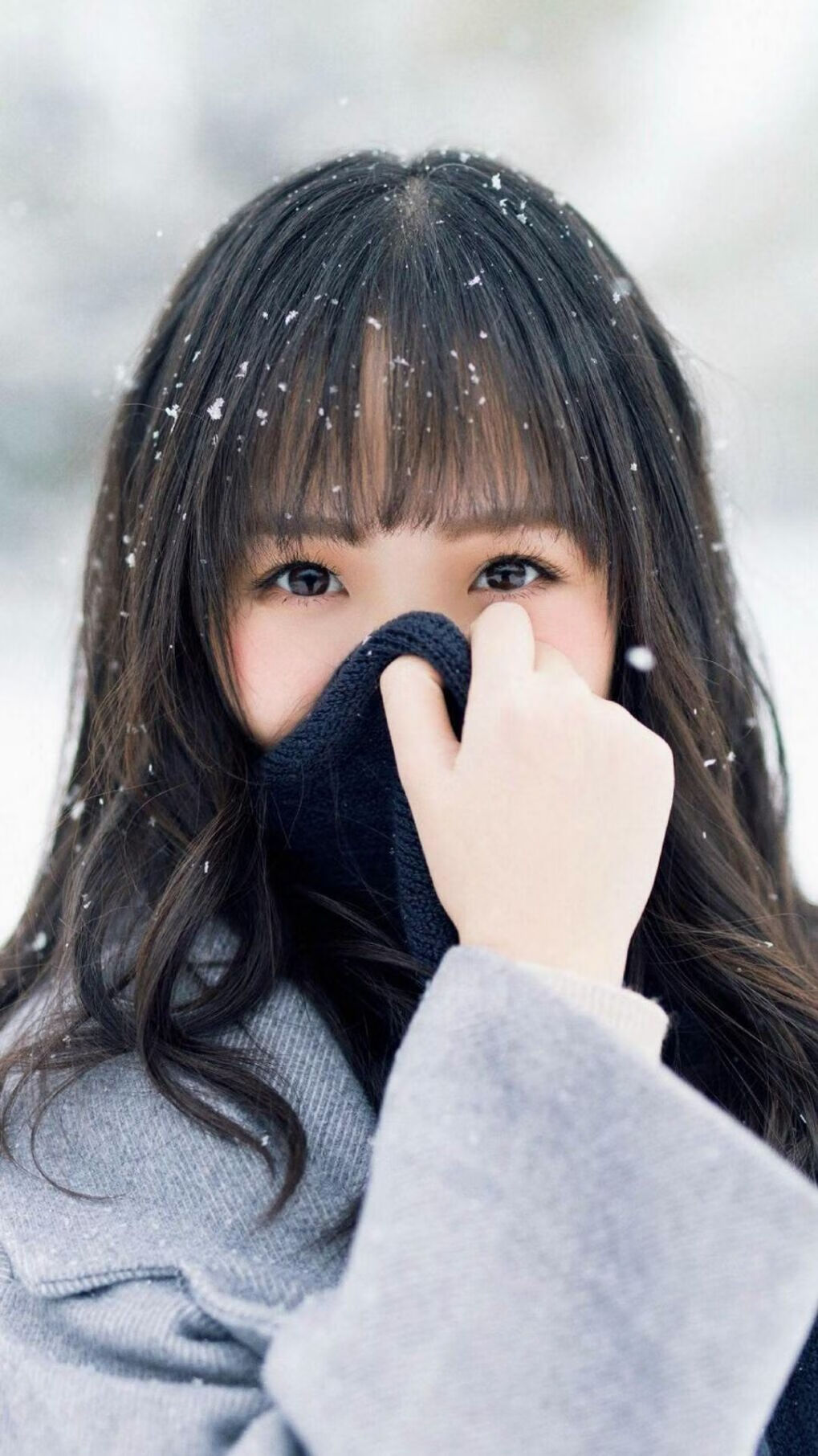 钢铁中场与致命一击，斯洛伐克铁血战车如何碾碎葡萄牙的黄金一代