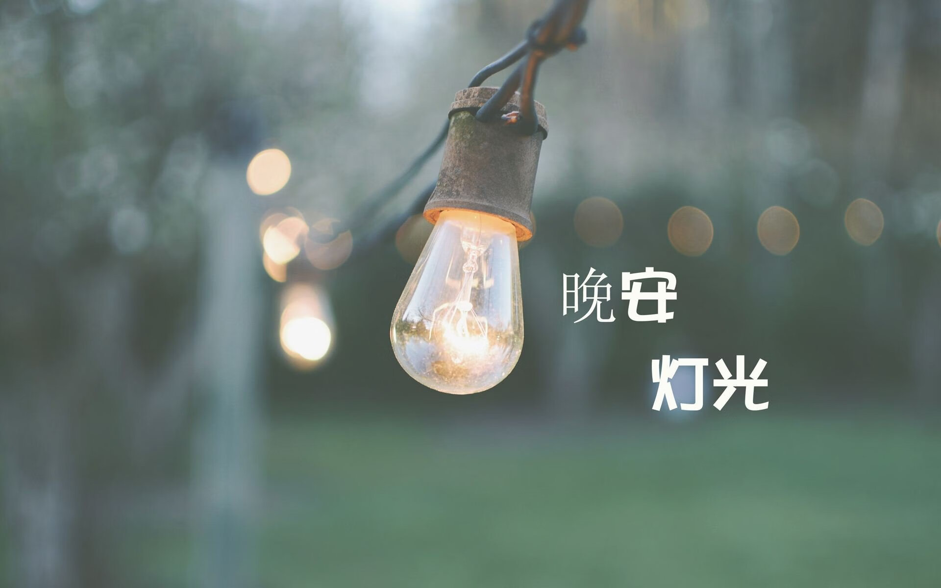 拒绝成为罪人！布罗佐维奇的中场魔咒，如何用一脚诡异弧线撕裂哥斯达黎加的铁血堡垒