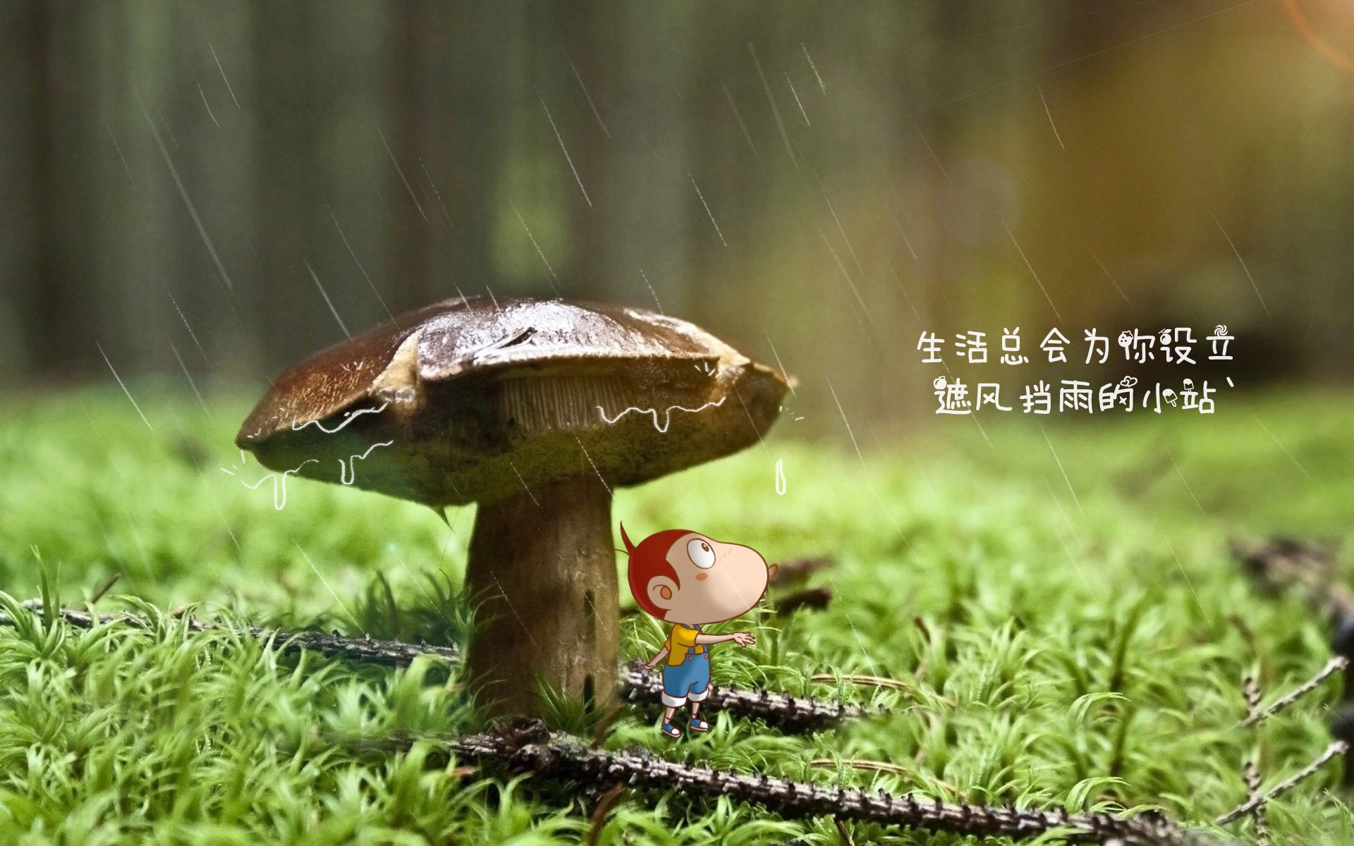 铁幕下的狂舞，布罗佐维奇筑起中场堡垒，捷克以碾压之姿撕碎西班牙传控神话